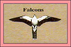 JPG -- Picture of falcon outline