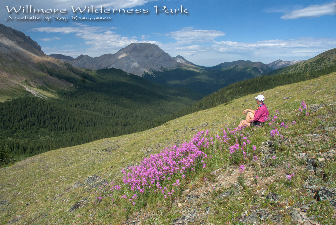 Willmore Wilderness Park, Rocky Mountains, Alberta, Canada