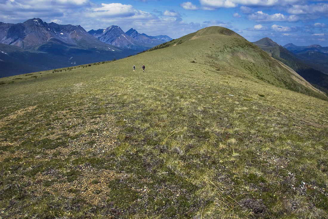 Willmore Wilderness Park, Rocky Mountains, Alberta, Canada